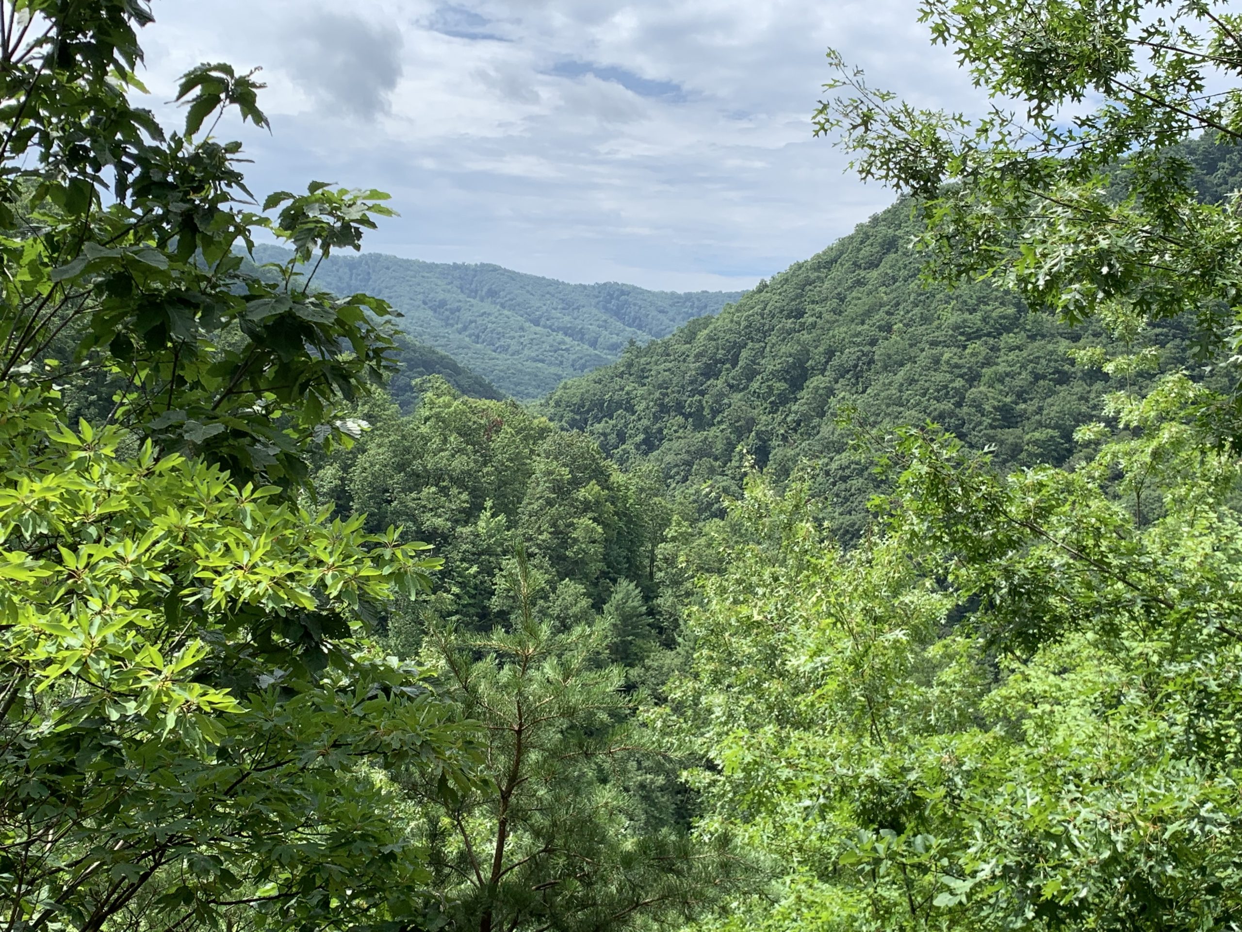 Lone Oak Trail - Steffan 'Splorin