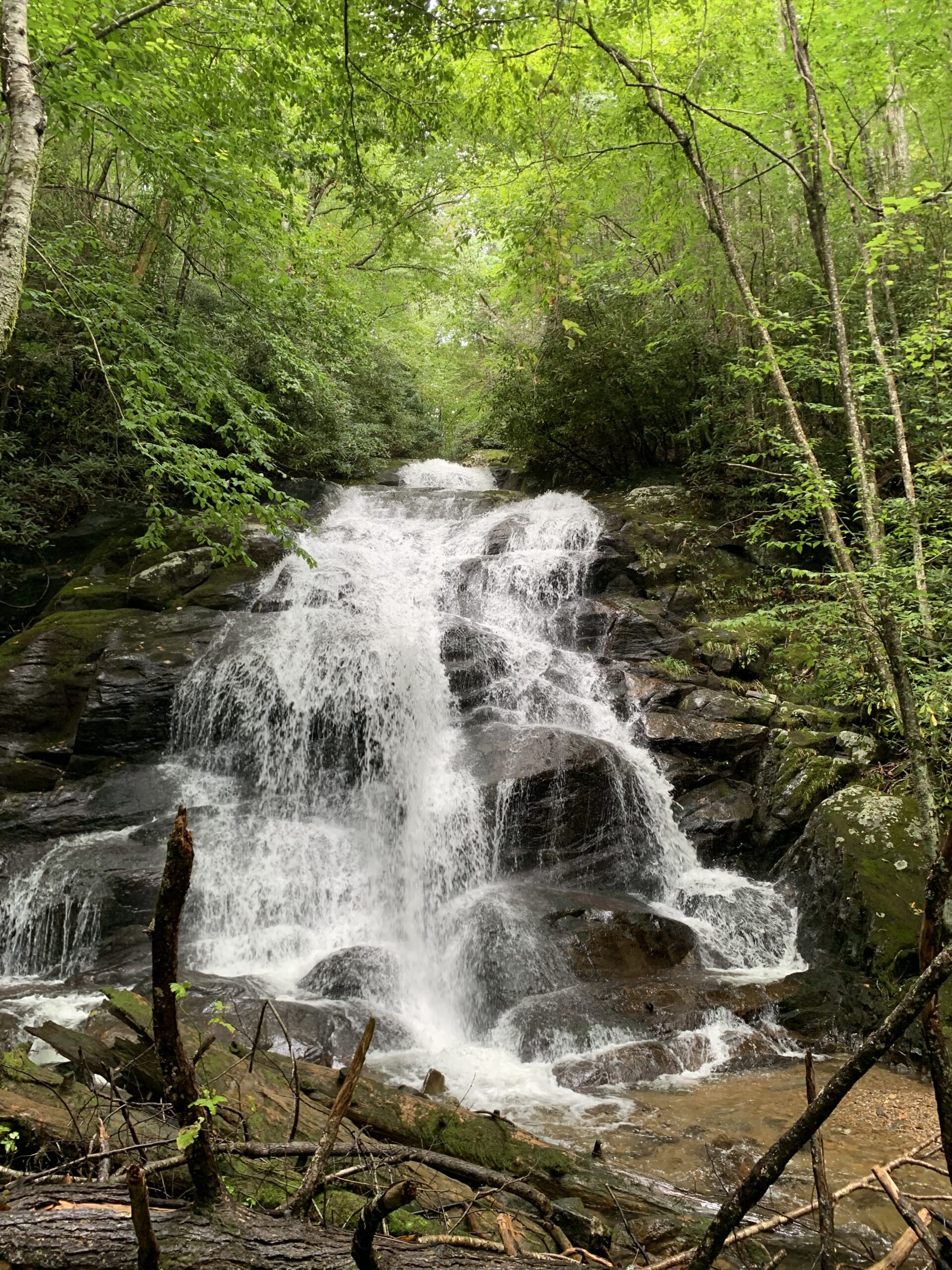 Lower Higgins Creek Falls - Steffan 'Splorin