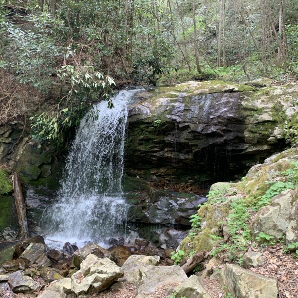 View of Pine Ridge Falls as you approach on trail. Waterfall nestled in a little cove.
