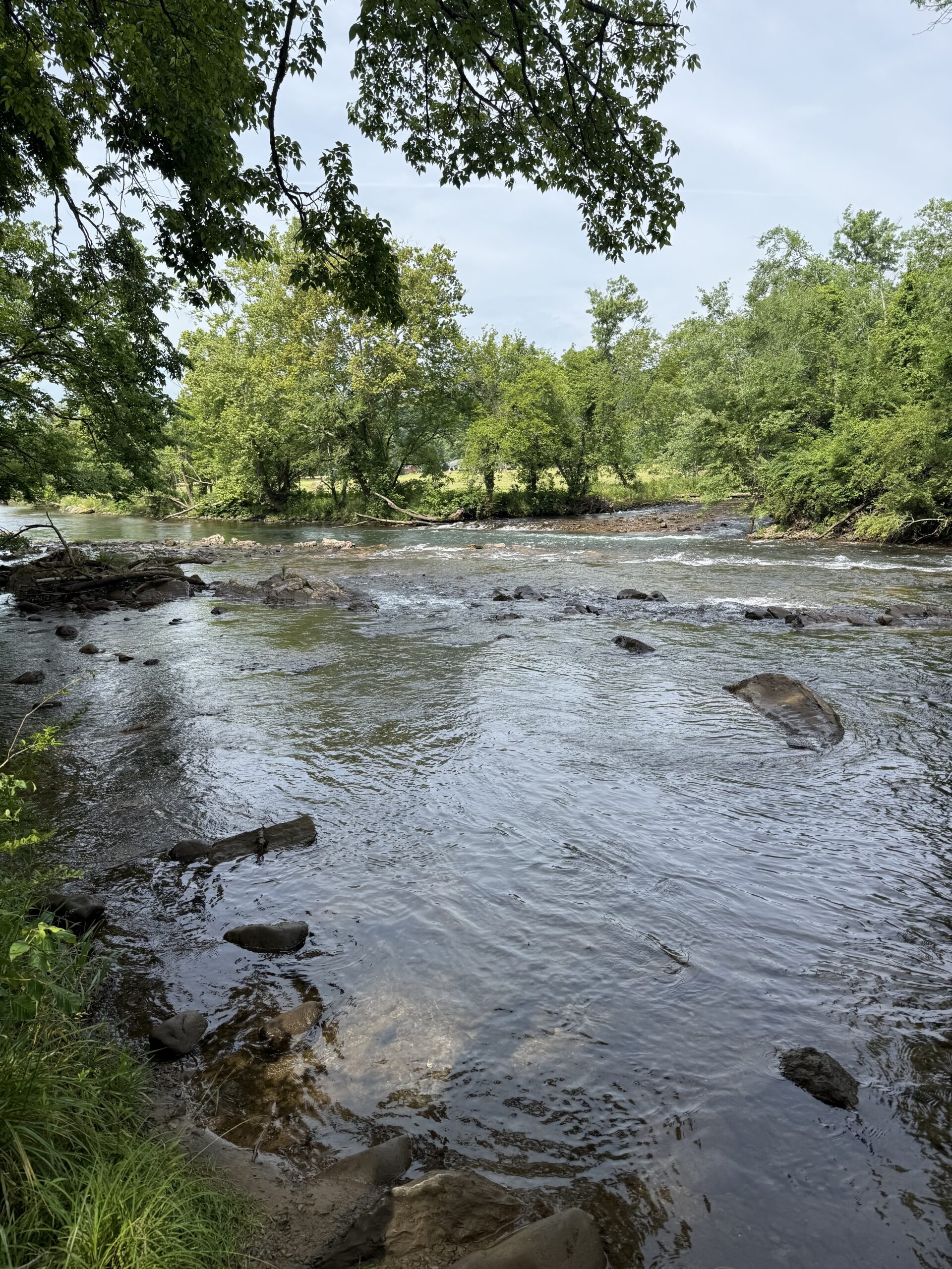 View of the small rapids on the Watauga River and Sycamore Shoals Island from Patriots Path